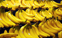 Banane: dérogation pour un épandage aérien dans les DOM contre un champignon