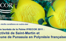 La commune de Punaauia couronnée par la palme "Protection, valorisation et restauration" de l'IFRECOR