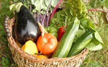 Le "bio" permet bien d'éviter les pesticides dans son assiette