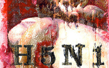 Science et Nature envisagent la publication d'études sur un virus mortel