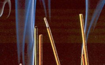 La production d'encens menacée de disparition