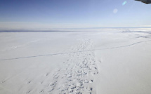 Une solution contre la fonte de l'Antarctique ouest? Des canons à neige