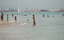 Le record absolu de température en France validé à 46°C