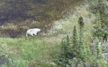 Chasse à l'homme au Canada: la police déplace ses recherches suite à un renseignement