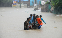 Inde: des crocodiles dans la ville