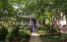 Retour à la nature: des citadins transforment leur jardin en vraie jungle sauvage