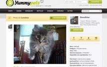 Yummypets, le premier réseau social français dédié aux animaux de compagnie
