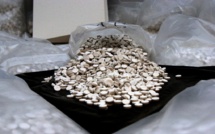 Contre le stress post-traumatique, Israël teste des thérapies à l'ecstasy