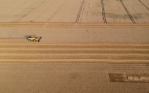 Sécheresse: les céréaliculteurs auvergnats inquiets après une récolte catastrophique