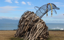 Un espace dédié aux cétacés au Musée de Tahiti et des îles