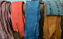 Cuir de poisson: quand de jeunes chimistes marient luxe et écologie