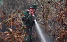 Indonésie: les feux reprennent de la vigueur, craintes pour le climat