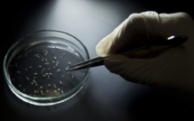 La Russie nie toute menace après une explosion dans un laboratoire renfermant la variole