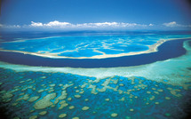 Une banque du sperme pour la Grande barrière de corail menacée