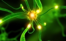 Une protéine liée à Alzheimer augmente chez les sujets sains à tout âge