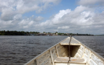 Dans les eaux guyanaises, la découverte d'un écosystème "unique au monde"