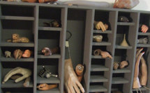 Biologie de synthèse : peut-on créer du "vivant artificiel?"