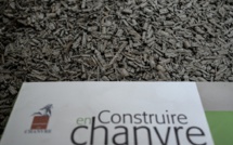 Un temps délaissé, le chanvre revient par la grande porte du BTP