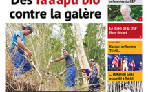 TAHITI INFOS N°1513 du 21 octobre 2019