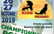 Un championnat de chiens de travail ce weekend à Pirae