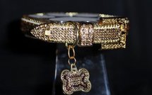 Sa maîtresse l'enterre avec un collier de diamants: la tombe d'un caniche profanée