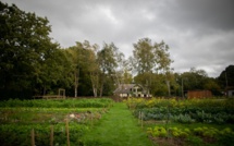 Climat, espèces, pollutions: l'environnement en France dans tous ses états