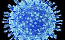Virus H5N1: la revue Science se plie à la décision annoncée par l'OMS