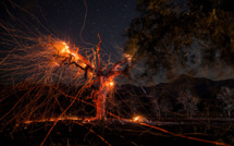 Californie: les incendies attisés par des vents violents