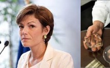 Jouanno : une mission d'information pour éviter une nouvelle affaire PIP