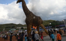 Ouverture du spectaculaire et dangereux Festival des ballons en Birmanie