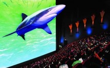 La 3D débarque dans les salles papoues… sous surveillance