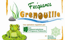 "Fréquence grenouille": pour aider les amphibiens et sensibiliser le public