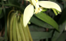 Signature d’une convention de thèse sur la vanille au salon de l’agriculture
