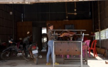 Pendus, assommés, noyés: au Cambodge, le commerce brutal de la viande de chien reste juteux