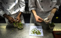 Aux fourneaux, de futurs jeunes chefs soucieux de cuisiner "durable"