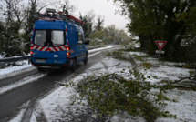 Encore 29.000 foyers privés d'électricité après la neige en Rhône-Alpes