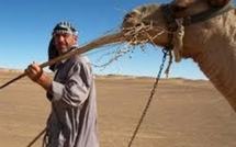 Pôle Nord ou Sahara, les épopées ratées d'un Australien fan d'humanitaire