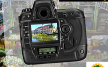 Un marathon photos dans les rues de Papeete