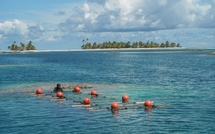 L’aquaculture de bénitier à Tatakoto : un projet en bonne voie