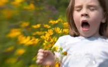 Un voyage ludique au coeur des pollens pour "sensibiliser" sur l'allergie