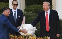 Trump gracie deux dindes pour Thanksgiving en ironisant sur la destitution