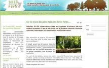 Recenser écureuils et papillons en forêt pour venir en aide aux chercheurs