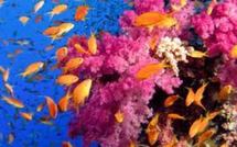 Changement climatique: coût pour les océans estimé à 2.000 milliards USD