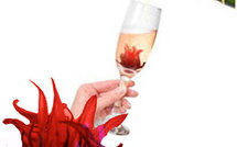 Présentation par Myrtille (Mitou) Bodin de décoration Arts de la Table mode locale