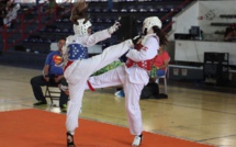 Une quinzaine de clubs de Taekwondo samedi à Pamatai