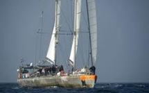 Tara-Océans: Retour triomphal de la goélette à Lorient, l'aventure va continuer en Arctique