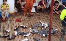 Opération TAUTAI 2012: contrôle de la pêche en Pacifique