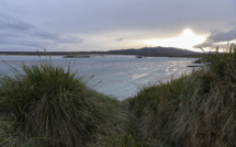 Déjà menacés, les océans en manque d'oxygène