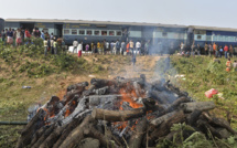 Inde: deux éléphants tués par un train et incinérés