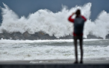 Vents violents sur le Sud-Ouest: au moins 220.000 foyers sans électricité